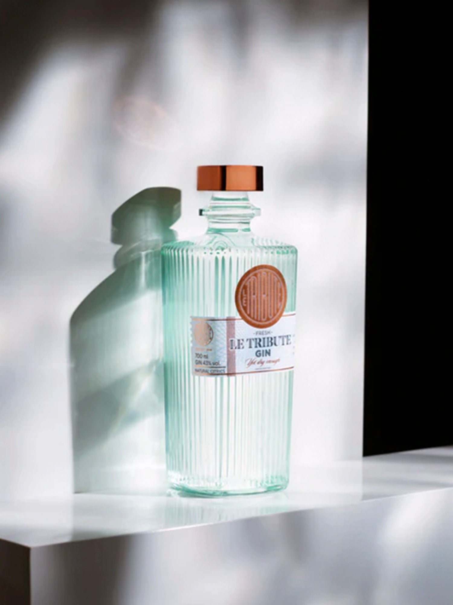 LE Tribute Gin bottle on a white surface, illuminated to create artistic shadows, highlighting its clean design